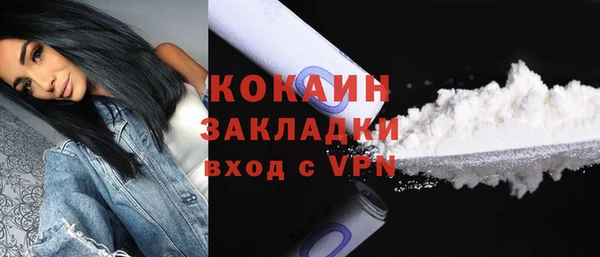 шишки Белокуриха