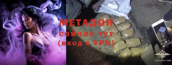 шишки Белокуриха