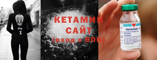 шишки Белокуриха