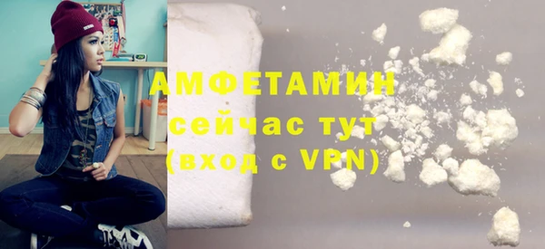 шишки Белокуриха