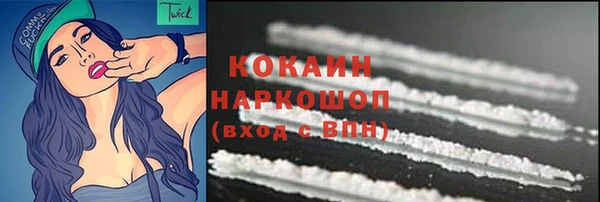 шишки Белокуриха