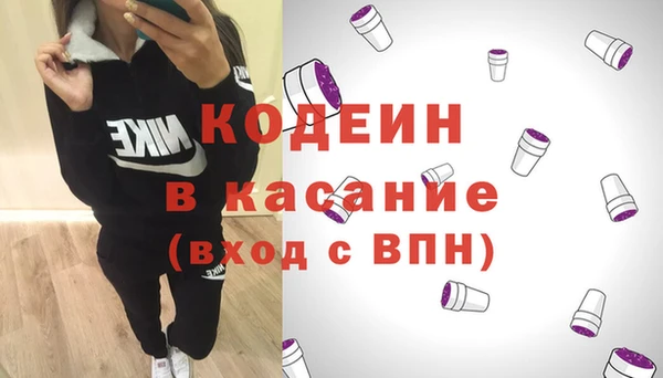 шишки Белокуриха