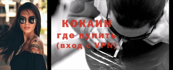 молекула духа Белоозёрский