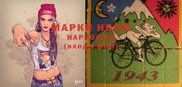 шишки Белокуриха