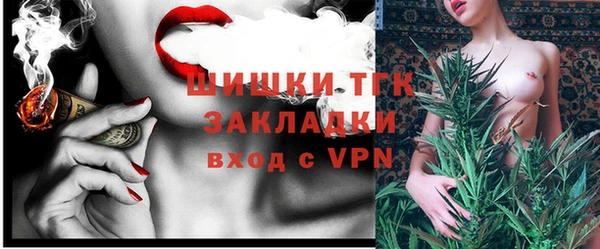 шишки Белокуриха