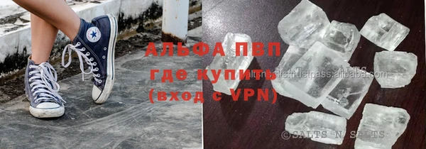 шишки Белокуриха