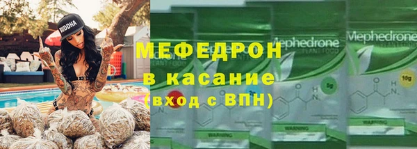 шишки Белокуриха