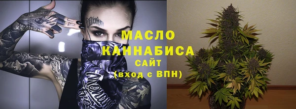 шишки Белокуриха