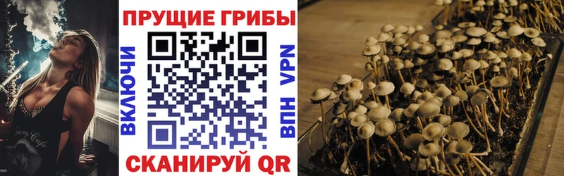 Псилоцибиновые грибы Cubensis  Красноуфимск 
